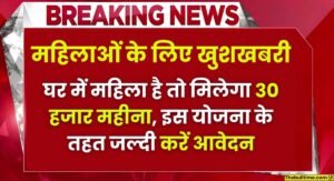 Mukhyamantri Work From Home Yojana