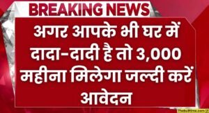 Vridha Pension Yojana